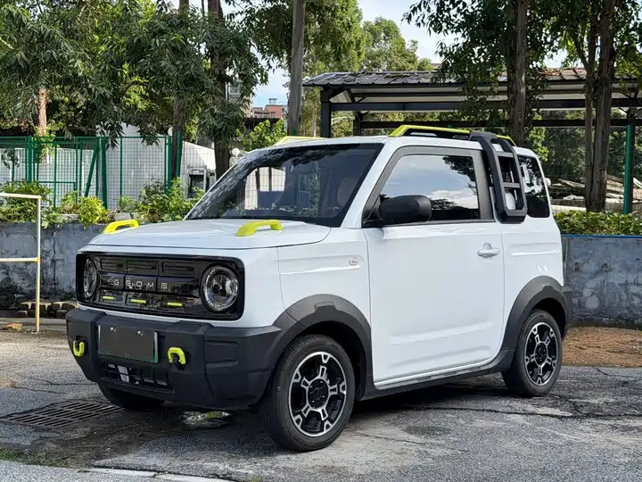 Geely Geometry Panda Mini